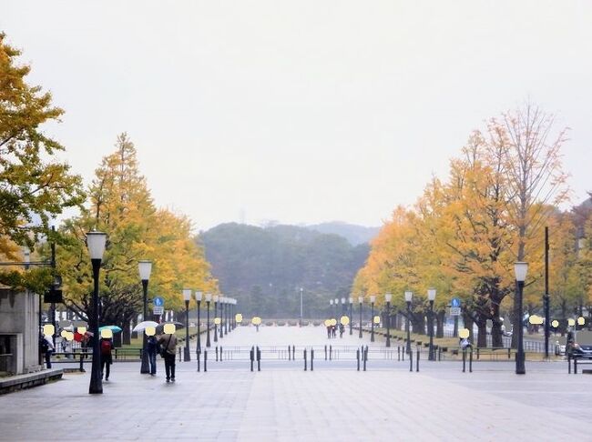 Ｌ　ＮＯＶ　２０２３　　「ノリ活２１　of　２０２３」の最初は東京駅丸の内口前の行幸通りの紅葉を見学しました。