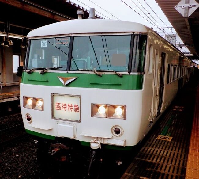 ＪＲ武蔵野線を吉川美南で降りた後は、１８５系の「臨時特急　きらきら足利イルミ号」に乗りました。