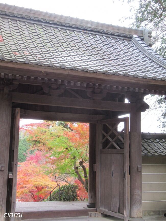北鎌倉の駅で降りて、お寺と紅葉。