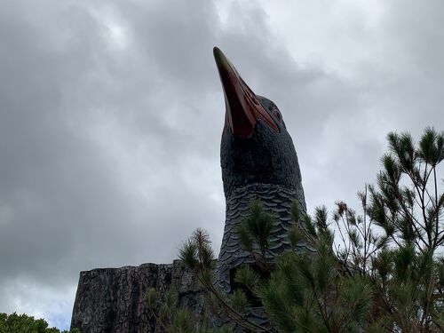 沖縄】映画にも登場するヤンバルクイナは巨大且つ謎のクイナだっ