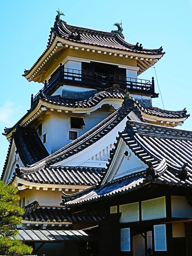 高知城は高知県高知市にある日本の城。瓦や壁の色が鷹の羽の色に似ているとして、鷹城（たかじょう）とも呼ばれる。<br />江戸時代には土佐藩の藩庁が二の丸御殿に置かれた。江戸時代に築かれた天守が残る現存天守十二城の一つあるほか、本丸御殿や追手門等が現存する。城跡は国の史跡に指定されている。日本100名城に選定されている<br /><br />高知平野のほぼ中心に位置する大高坂山（標高45m）上に築かれた梯郭式平山城で、山の南を流れる鏡川、北の江ノ口川をそれぞれ外堀として利用されていた。<br /><br />1601年（慶長6年）、山内一豊が土佐国を与えられて土佐藩を立てた。城全体の完工は1611年（慶長16年）。江戸時代初期の建物は1727年（享保12年）の大火でほとんどが焼失し、1753年（宝暦3年）まで四半世紀かけて再建され、現存天守は1749年（寛延2年）造と推測されている。<br /><br />高知城は本丸の建造物が完全に残る唯一の城として知られていて、又天守と本丸御殿が両方現存する唯一の城である。明治6年（1873年）に発布された廃城令や、太平洋戦争による戦災を免れて天守、本丸御殿、追手門など15棟の建造物が現存し、全て国の重要文化財に指定されている。現在これらは高知県の所有物となっている。<br /><br />城全域は高知公園として無料で開放されているが、天守および本丸御殿（別名「懐徳館」）への入館は有料となっている。<br />また、城内には一豊と妻の千代（見性院）、板垣退助の銅像が立つ。予算の関係で二の丸御殿、三の丸御殿、鉄門等と言ったこれ以上の木造復元計画はない。<br /><br />天守<br />南北に千鳥破風、東西には唐破風をつけた安土桃山時代の様式である。最上階に高欄を設けるなどのやや古風な形式（復古型）をとっている。<br />独立式望楼型4重6階、窓は突上窓と連子窓、天守台がなく本丸上に、直に礎石を敷き御殿に隣接して建てられており、このような本丸を最後の防衛拠点とする構えは慶長期の城にみられるものであるという。<br />平面寸法は、初層と2層を総二階造りで8間×6間、3層と4層を4間四方とし、5層と最上層は3間四方である。高さは18.5m。国の重要文化財に指定されている。<br /><br />本丸御殿　（懐徳館）<br />天守に隣接して造られている。築城された当初、二ノ丸御殿ができるまでは土佐藩初代藩主・一豊と正室の千代夫人の住まいであった。しかしながら、18世紀初頭に本丸御殿は焼失し江戸中期に御殿の再建が行われ現在に至る。御殿が完全な形で現存しているのは高知城のみである。間取りは上段ノ間（床、棚、書院附）、二ノ間、三ノ間（茶所附属）、四ノ間、納戸、三畳二室、雪隠、入側、板間及び縁側より成る。享保12年(1727年)の焼失後は、金箔は予算の関係で貼らなかった。<br /><br />追手門<br />門の入り口は枡形の巨大な石垣で囲まれていて、敵を3方から攻撃できるようになっている。江戸時代からの現存である。<br /><br />鉄門跡<br />かつては二階建ての門があり、鉄板を打ち付けた扉があった。門を入ると枡形になっていて、詰門へと続いている。<br /><br />詰門<br />本丸とその北側にある二ノ丸の間にかけられた櫓門で、二階は二の丸と本丸を結ぶ廊下橋となっている。<br /><br />重要文化財は次の通り<br />天守　　　本丸御殿・懐徳館［かいとくかん］<br />納戸蔵　黒鉄門　西多聞　東多聞<br />詰門　廊下門　追手門　矢狭間塀など<br />（フリー百科事典『ウィキペディア（Wikipedia）』より引用）　<br /><br />高知城　については・・<br />https://kochipark.jp/kochijyo/<br />