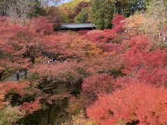 東福寺と清水焼の窯元もみじまつり　午後は青蓮院　夜は京会席とクラフトビール