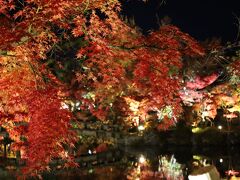 京都の紅葉をみる日帰りの旅