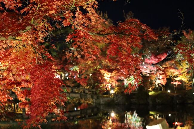 秋の紅葉を旅してきたばかりの従姉妹による、清水寺の夜の紅葉の写真を見て、どうしても見に行きたくなりました。<br />お連れさんに話したところ、東京から京都は新幹線で２時間の距離なので、週末の日帰り旅も楽しめるであろうという結論に至りました。<br />朝10時頃に品川駅を出たのぞみは、ちょうど昼頃京都駅に到着し、そこから東福寺、伏見稲荷で昼の秋を、永観堂と清水寺で夜の秋を堪能し、終電１本前ののぞみで戻ってきました。<br /><br />