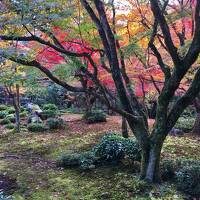 京都・紅葉見頃の哲学の道「葵ホテル 南禅寺別亭 看月亭」宿泊記(ブログ)と 近又, 圓光寺, 詩仙堂