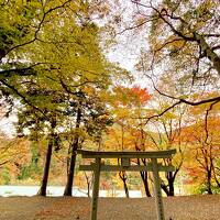 2023.11 福知山の紅葉(長安寺・天寧寺・福知山城)