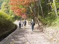 旅人気分で歩く中山道　　中山道往来(ｳｵｰｸ)　細久手宿から御嶽宿へ 　