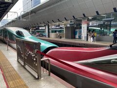 2023.9　大阪から新幹線で福島＆  初めての栃木へ   ほぼ新幹線と田んぼアートの旅