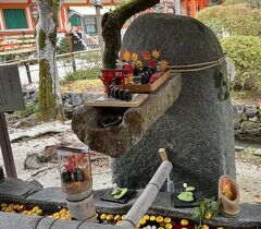⑫マダムの　絶景の京都　ライトアップと15社寺めぐり３日間　２日目の５　上賀茂神社