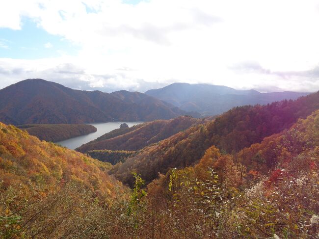 10月最後の日曜日は，紅葉を見るために福島県の中津川渓谷までドライブ．ただ，途中，山形県側にある大井沢の大栗や朝日川渓谷，白布大滝などを見て福島県まで行ったので，結構時間がかかってしまいました．中津川渓谷は前の年にも来たのですが，生憎の雨で，残念ながら殆ど紅葉を楽しむことが出来ませんでした．今年は何としても綺麗な紅葉を見たいと思っていたのですが，出かけたときには生憎の雨．それでも天気予報では午後から晴れ間が見えるということだったので，それを信じて出かけました．先ず，大井沢温泉．ここには日本一大きいと言われる栗の木があります．どこにあるのか良く分からないまま出かけたのですが，大井沢の集落からかなり山奥に入ったところにあり，行くのはとても大変でした．大井沢からは古寺キャンプ場の脇を通って木川ダムへ．古寺キャンプ場は朝日連峰への登山口でもあり，神通狭という紅葉の名所がありますが，残念ながら神通狭への道路は通行止めになっていました．木川ダムは，朝日川渓谷に造られたダムで，こちらも紅葉の名所です．でも，知名度は今一つなので，いつ行っても殆ど人に会うことがありません．今回も日曜日にも拘わらず，紅葉を見に来ていたのは私達くらいで，他にはほぼすれ違う車もないくらいでした．朝日川渓谷を抜けた後は，白布温泉にある白布大滝へ．ここは，大樽川の上流にある滝ですが，道路から滝壺まで下りるのが結構大変です．でも，今回久し振りに行ってみたら，階段が綺麗に整備されていて驚きました．白布温泉からは，白布峠を通って福島県側に出て，今回の最終目的地である中津川渓谷へ．こちらは裏磐梯の紅葉の名所で，レストハウスもあります．そのせいか大勢の人が紅葉を楽しむために来ていました．途中白布峠まで雨模様の天気でしたが，中津川渓谷に到着する頃には天気予報通り晴れ間も広がり，見事な紅葉を楽しむことが出来ました．