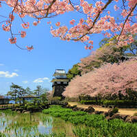 【観桜の旅2023】県央の桜の名所を訪ねて