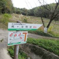 大仏鉄道の遺構めぐり（京都木津市側から）