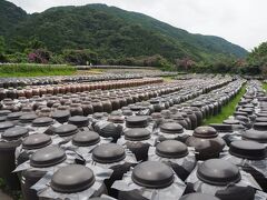 埋没鳥居