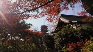 2023年11月28日～紅葉見頃の松戸2カ所のお寺に野田清水公園、流山おおたかの森イルミは綺麗でした