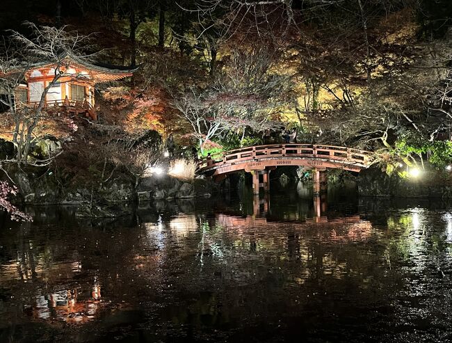  2023年11月27日（月）～29（水）JTB主催「醍醐寺ライトアップ特別優先拝観　地元のバス会社の案内で巡る絶景の京都15社寺めぐり3日間」に参加しました。紅葉真っ盛りの3日間、朝から夜まで、赤と黄色と緑に染まって、紅葉とライトアップを堪能しました。その3日間の旅行記です。<br />　今年3月末には、京都駅前ホテルに連泊し、個人で桜巡りをしました。ゆったりと自分のペースで回るという利点はあったものの、元々の方向音痴に加え、公共交通機関で回るため、乗り継ぎに時間がかかり、1日2、ないしは３つの観光地しか回れず、歩きくたびれました。それで、秋は効率的にあちこち回ろうと考え、3日間で15か所も回り、最終日は東京駅22：42時着となるこのツアーに申し込みました。①②③・・は旅行記の番号、ＣＭ１２３…はツアーで訪問した社寺の番号、ABC…は、自分で回った場所です。…は徒歩、＝はバス移動の意味です。⑳までありますので、宜しければご覧ください。主な行程は下記の通りです。<br />11月27日（月）旅行1日目　①自宅・・自宅最寄りの駅ー東京発11：00のぞみ225号　京都着13：15　②CM１◎南禅寺・・③CM2◎哲学の道・・CM３◎法然院…④Ａ銀閣寺＝CM４⑤●清水寺（ライトアップ夜間特別拝観）Ｂ月の庭＝⑥都シティ近鉄京都駅2連泊（自由夕食）<br />28日（火）2日目　⑦ホテル＝⑧CM５●天龍寺・・⑨Ｃ◎嵐山常寂光寺…⑩Ｄ二尊院…（自由昼食）＝⑪CM６◎北野天満宮＝⑫CM７◎上賀茂神社＝⑬CM８●青蓮院門跡＝⑭CM９●醍醐寺（一般の入場より早いライトアップ特別優先拝観）＝ホテル（自由夕食）<br />29日（水）3日目　ホテル＝⑮CM10◎金戒光明寺＝Ｅ岡崎神社＝⑯Ｆ宇治神社・・CM11◎宇治上神社・・⑰CM12●平等院（自由昼食）＝⑱CM13●東福寺＝⑲ＣＭ14おたべ本店＝CM15川勝漬物店＝⑳CM16●東寺＝（自由夕食）京都発　20：30東京着22：42ー次女宅泊ー自宅