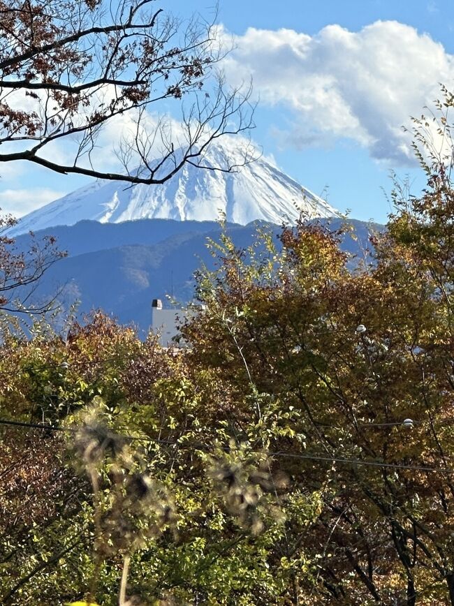 11月の半ば、紅葉の見るため山梨と群馬に行きました。<br />東京に着いた日は、ちょっとだけ横浜のライトアップも見てみました。