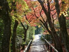 2023秋の京都　その３～鷹峯散策、常照寺・源光庵・光悦寺からしょうざんリートへ