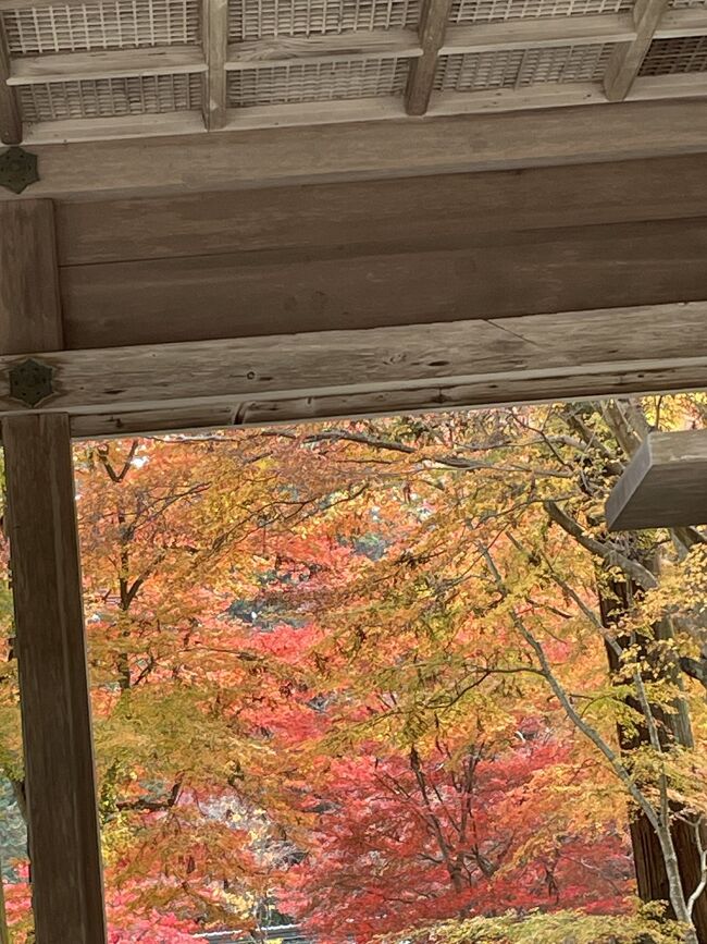 日毎に寒くなって参りました。<br />秋といえば、紅葉！<br /><br />紅葉といえば、京都！　　<br />ですが、今は観光客の多い京都。<br />今回は、ちょっと離れて…滋賀県に！<br /><br />何度も行っている割には　参拝した事のない<br />日吉大社へ　詣る事と致しました。<br /><br />では、行って参ります！