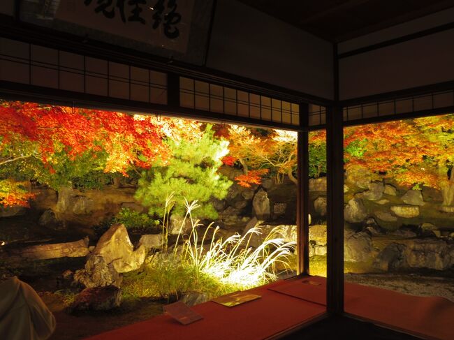 ずーーーーっと紅葉の時期に行きたい思いがあり、<br />見頃の時期の京都に行ってきた(*^-^*)<br />色々想像しながら計画を立てるのもすごく楽しい。<br />一人旅で自由気ままに歩こう♪<br />そして見事な紅葉に感激！<br /><br />２泊３日の１日目の巻。