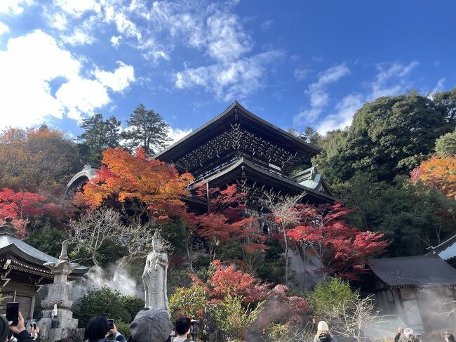 11月下旬、広島へ行きました。紅葉を見たいと思い、宮島と広島市内を巡りました。<br /><br />宮島口駅<br />↓フェリー<br />宮島<br />・梅山でランチ<br />・もみじ饅頭食べ歩き<br />・厳島神社<br />・大聖院と紅葉<br />↓フェリー<br />宮島口駅<br />↓鉄道<br />広島駅<br />・みっちゃんで夕食<br />・縮景園<br />↓<br />ホテル:アーバイン広島エグゼクティブ