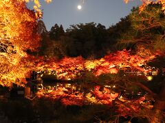 名古屋市内の紅葉巡り　後編　徳川園・東山動植物園など　2023年11月