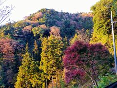 【第4回】京王線・井の頭線一日乗車券で風景印活動と早朝高尾山