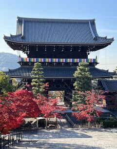 ⑮マダムの　絶景の京都　ライトアップと15社寺めぐり３日間　３日目の１ 金戒光明寺～岡崎神社