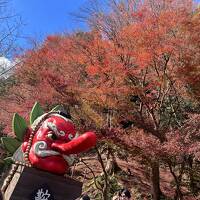 4年ぶり京都&#11088;︎幼なじみ3人旅