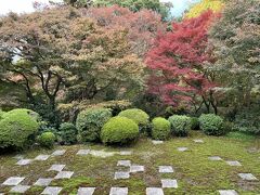 ⑱マダムの　絶景の京都　ライトアップと15社寺めぐり３日間　３日目の４　東福寺