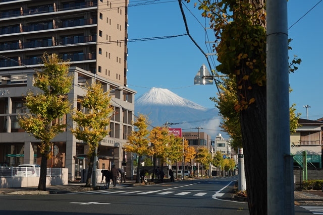 紅葉(黄葉)を見ながら散歩して来ました。<br /><br />Google mapで計測してみましたがこのブログ内の散歩は、約3.7km・50分の所要時間でした。<br /><br />★富士市役所のHPです。<br />https://www.city.fuji.shizuoka.jp/<br /><br />★岳南電車のHPです。<br />https://www.gakutetsu.jp/<br /><br />※旅行期間の訂正をしました。(2023.12.03)