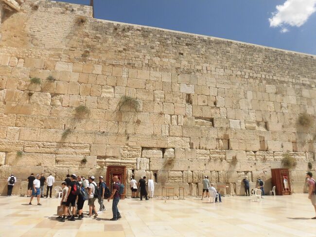 ホーチミン発の聖地巡礼ツアーに参加して、初めてイスラエルに行きました。<br />今回は６日目の観光②（嘆きの壁など）をお届けします。<br />