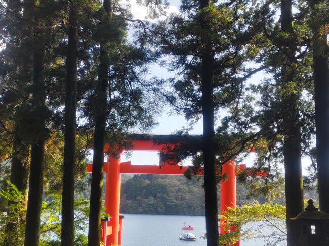 箱根・芦ノ湖　はなをり に女子二名で行ってきました。<br />かながわ鉄道割で最大30％割引で利用できたので【かながわ鉄道割対象】デジタル箱根フリーパスを活用して観光も楽しみました。<br />新宿発デジタル箱根フリーパス（2日間有効）おとな平日の場合<br />6,100円（通常発売額）ー1,830円（割引額30%）=4,270円（かながわ鉄道割発売額<br />