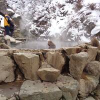 猿探し【長野・湯田中温泉（Yudanaka Hot Spring）遍】