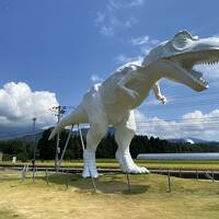 夏の日本海、美食旅（小浜・福井）