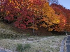 東三河の歴史と名古屋飯の旅