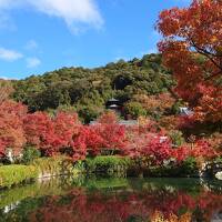 紅葉の京都