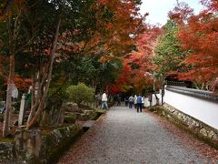 北播磨、紅葉の名所