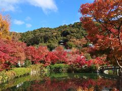 紅葉の京都