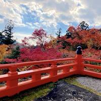 どこへ行っても人だらけ　錦繍の関西への旅（京都編）