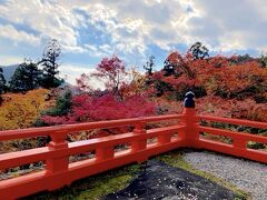 どこへ行っても人だらけ　錦繍の関西への旅（京都編）