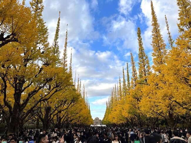 都内の紅葉名所を巡ってきました。<br /><br />砧公園、駒沢公園、大田黒公園、明治神宮外苑。<br /><br />どこも見頃を迎えていて、それぞれ違う雰囲気の中で紅葉を楽しめました。<br /><br />▼ブログ<br />https://bluesky.rash.jp/blog/travel/kinutakouen.html