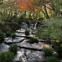 兵庫の旅2日目　姫路城と好古園　日本の秋は美しい