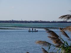 さわやかウォーキング 【浜名湖花博一足お先に 弁天島】 JR東海