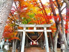 友人ワンコと紅葉探しに那須高原　コテージわん'Sのお泊り　雪の那須岳も