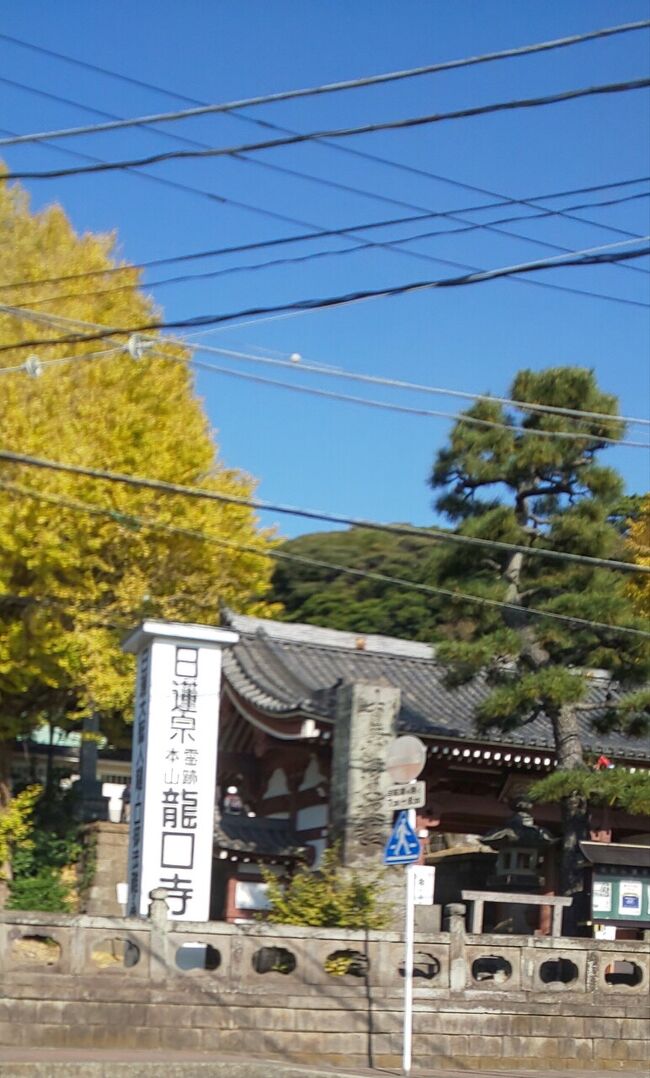 鎌倉、湘南、横浜市泉区を中心に１日かけてめぐりました。<br /><br />ランチは人気のポークステーキを食べにいきました。