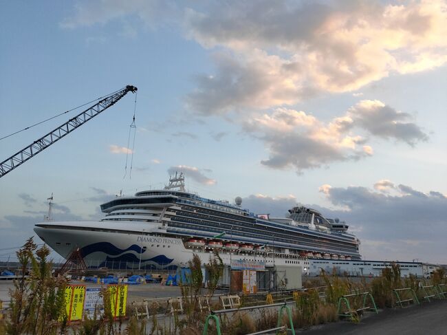 ダイアモンド・プリンセスで日本一周クルーズを体験してきました。<br />14日間横浜発着で、青森、酒田、金沢、境港、釜山、長崎、油津、広島、高知、神戸と10港に寄港しながらのクルーズでした。<br />今回はアメリカ人、カナダ人の乗船者が多く、船の中は海外、寄港地で下船すれば日本という不思議な感覚。<br />ただ、ダイアモンド・プリンセスは日本人向けに日本語表記、日本語メニュー、日本語での船内アナウンスがあり、迷いつつも不便なく船内で過ごすことが出来ました。海外で乗下船する外国船ではこうはいかないんだろうな。<br />何度も乗船されている諸先輩方にもいろいろ教わり有難かったですし、思ったより気取らないクルーズで居心地が良かったです。<br /><br />ブログも作成しました<br />https://sekai-cruise.hatenablog.com/entry/2023/12/10/125317<br /><br />11日目は高知港。いよいよクルーズ終盤。<br />高知港からは桂浜が近かったので、まずは桂浜へ行くことにしました。MY遊バスのチケット購入が心配でしたが、バス職員の方が最寄りのバス停で待機していたので購入出来ました。<br />高知城近くの立派な旅館の立ち寄り湯でのんびり出来ました。