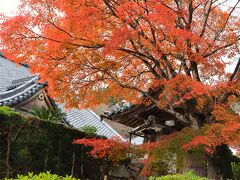 紅葉シリーズ２　大津西教寺、日吉大社から坂本ケーブルに乗って比叡山延暦寺へ♪