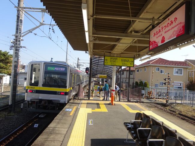 ９月中旬に出かけた、磐越西線を行くSLばんえつ物語号で分割併合した乗り鉄旅の投稿をしている頃、再び分割併合旅のお誘いが来ました。<br />今回はフォローいただいているとのっちさんが熊本からやってきて、北関東から東北方面を巡られるとのこと。そのうちの、真岡鐵道を行く「SLもおか号」に一緒に乗りませんか、というお誘い。<br /><br />このあと非常に複雑な「分割併合」となったらしい全行程の、初日となる１日でしたが、都合をつけて出かけることにしました。なんだかSLずいてましたね～<br /><br />真岡鐵道ですが、９月に宇都宮ライトレールに乗りに来たときに、その帰り道に乗ったばかり。続くときは続くものです。<br /><br />今回はその時の行程とかぶらないように、関東鉄道やライトレール、またできる限りJR宇都宮線などは使わないように行程を考えてみました。ただの偏屈ですね（笑）<br /><br />まずは、なぜか新宿駅発の「特急日光」と東武宇都宮線で宇都宮市内に向かいます。どちらも乗るのはとっても久しぶりでしたが。<br />
