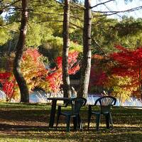 初・妹＆姪と３人旅♪紅葉真っ盛りの蓼科湖