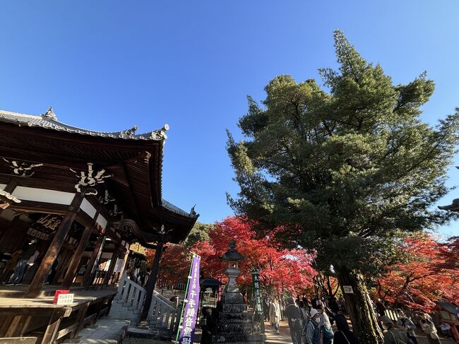 お城と紅葉と夜景を見る旅。3日目その2。犬山寂光院で紅葉狩り。